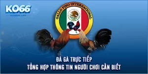 Đá Gà Trực Tiếp - Tổng Hợp Thông Tin Người Chơi Cần Biết