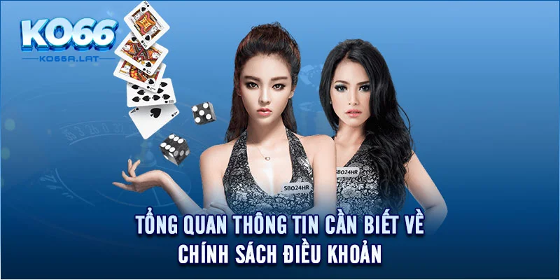 Tổng quan thông tin cần biết về chính sách điều khoản 